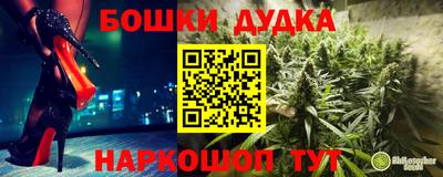 МДПВ Обь