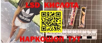 ГАЛЛЮЦИНОГЕННЫЕ ГРИБЫ Нягань