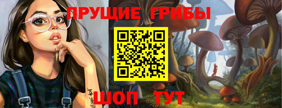 Псилоцибиновые грибы Cubensis Сочи